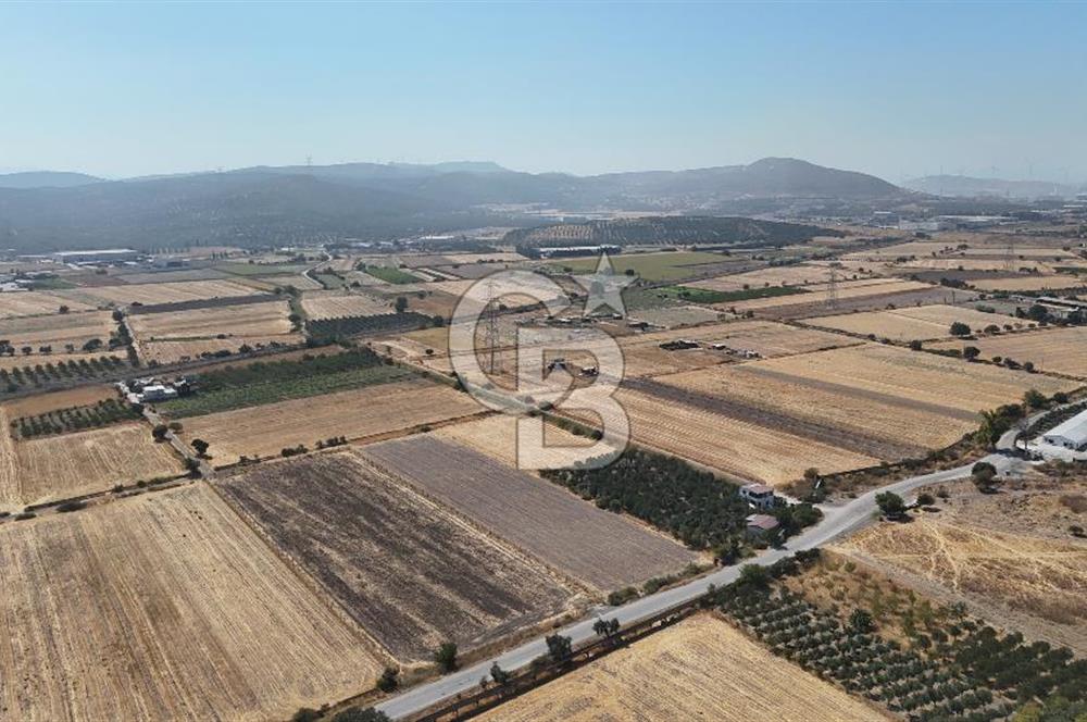 ALİAĞA HELVACI SATILIK 7.912 m2 ARSA FIRSATI
