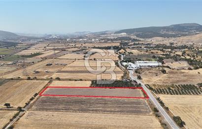 ALİAĞA HELVACI SATILIK 7.912 m2 ARSA FIRSATI