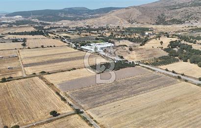 ALİAĞA HELVACI SATILIK 7.912 m2 ARSA FIRSATI