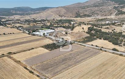 ALİAĞA HELVACI SATILIK 7.912 m2 ARSA FIRSATI