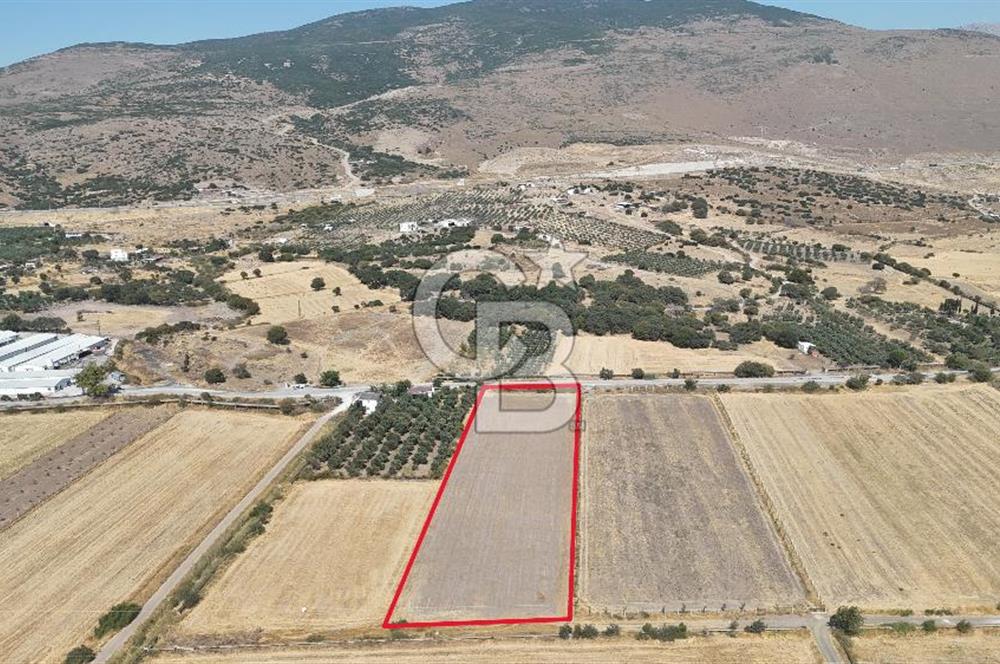 ALİAĞA HELVACI SATILIK 7.912 m2 ARSA FIRSATI