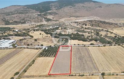 ALİAĞA HELVACI SATILIK 7.912 m2 ARSA FIRSATI