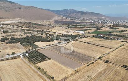 ALİAĞA HELVACI SATILIK 7.912 m2 ARSA FIRSATI