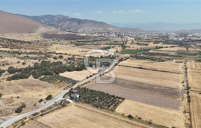ALİAĞA HELVACI SATILIK 7.912 m2 ARSA FIRSATI