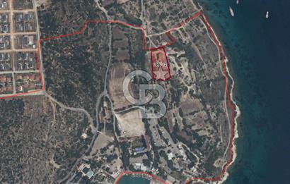 ÇEŞME'DE SATILIK 4600 M2 ARAZİ, DENİZE YÜRÜME MESAFESİNDE