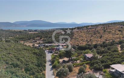 Urla Özbek'te Deniz Manzaralı Satılık Zeytinlik