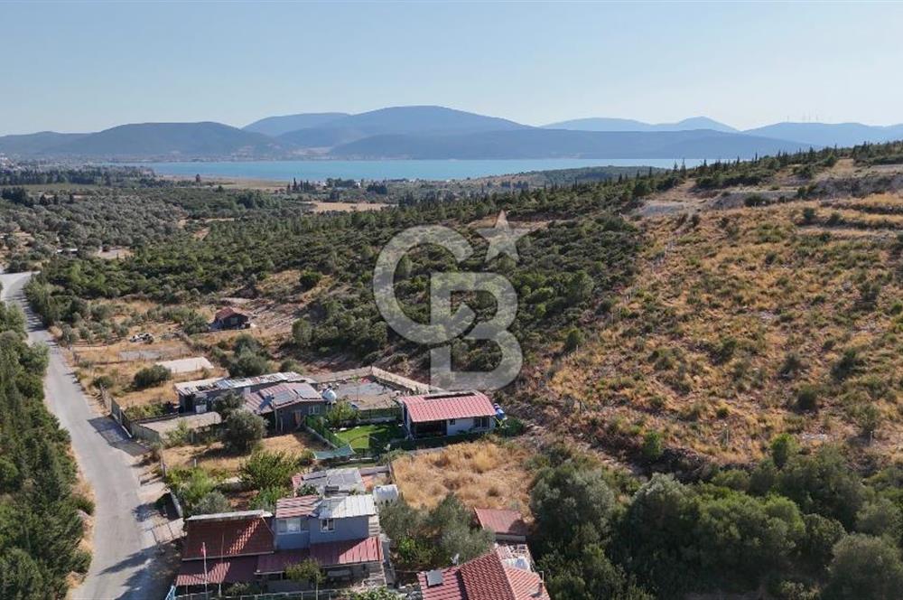 Urla Özbek'te Deniz Manzaralı Satılık Zeytinlik