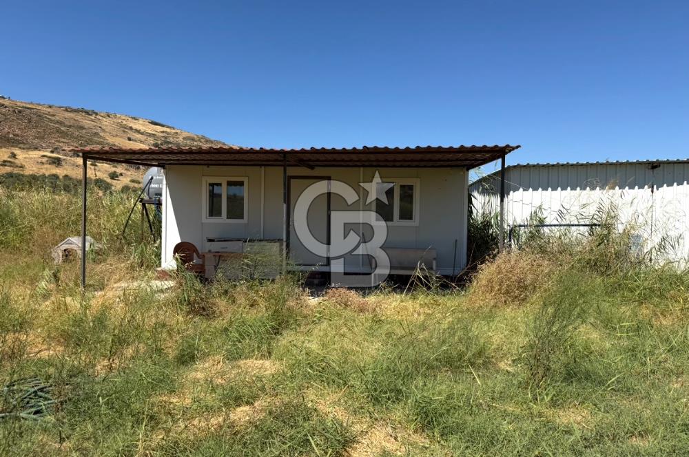 Foça Yenibağarası Mah. Satılık 13 Dönüm Tarla