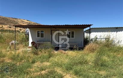 Foça Yenibağarası Mah. Satılık 13 Dönüm Tarla