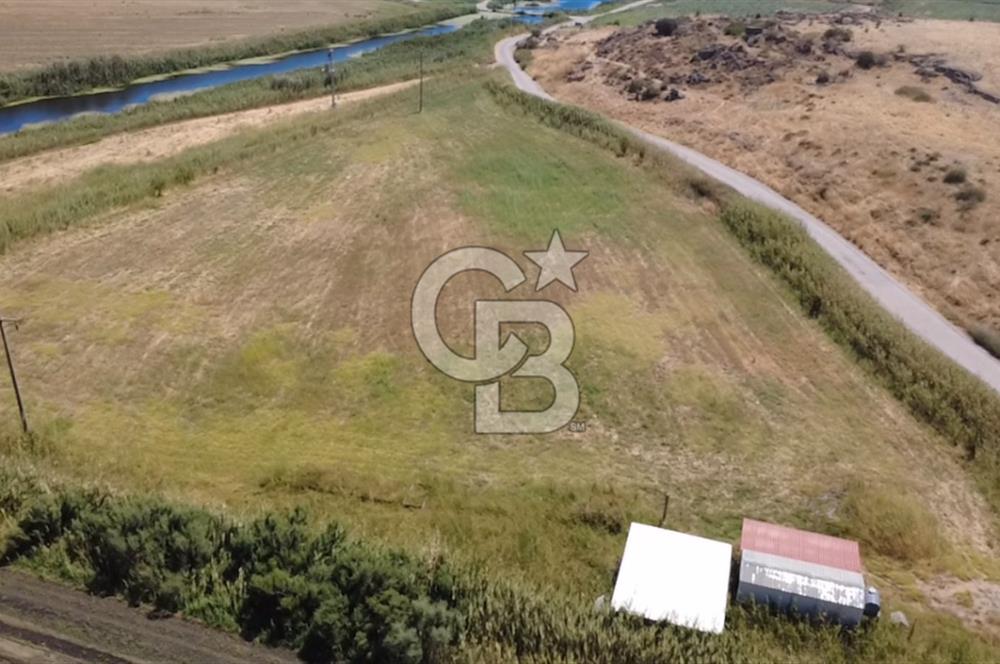 Foça Yenibağarası Mah. Satılık 13 Dönüm Tarla