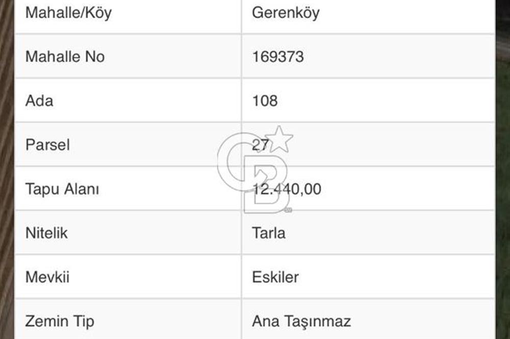 Foça Gerenköy’de Hisse Tapulu Tarla – Kadastral Yola Cepheli