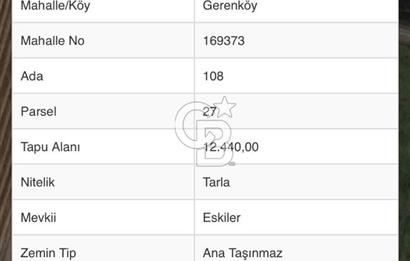 Foça Gerenköy’de Hisse Tapulu Tarla – Kadastral Yola Cepheli