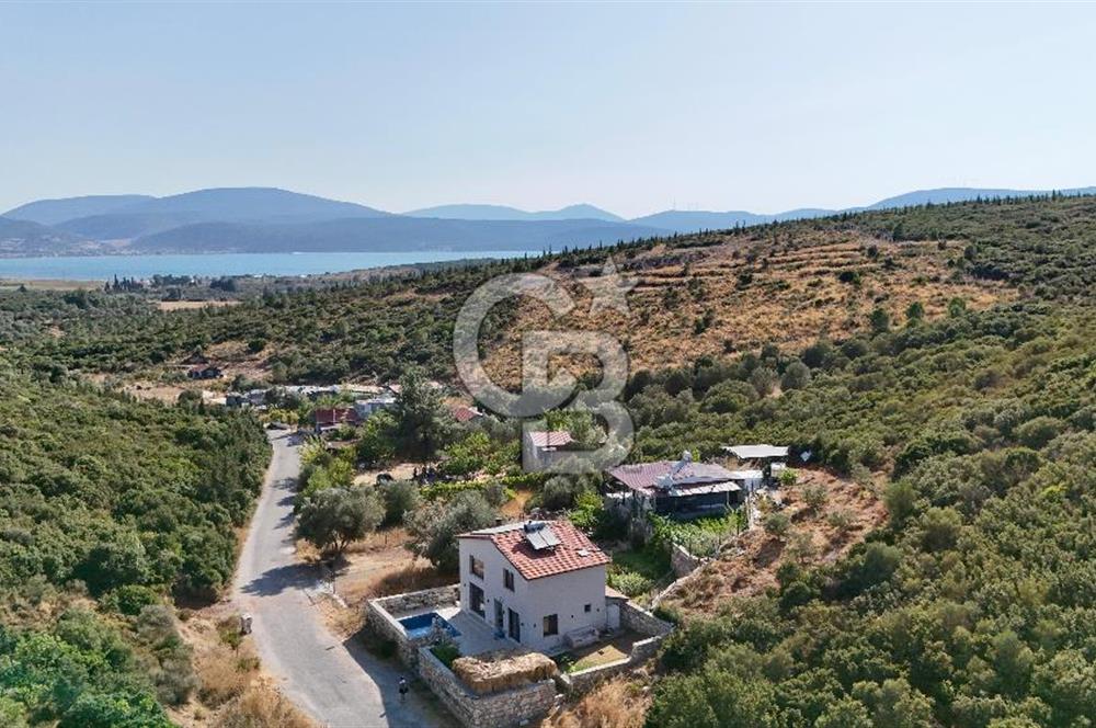Urla Özbek'te Deniz Manzaralı Satılık Zeytinlik