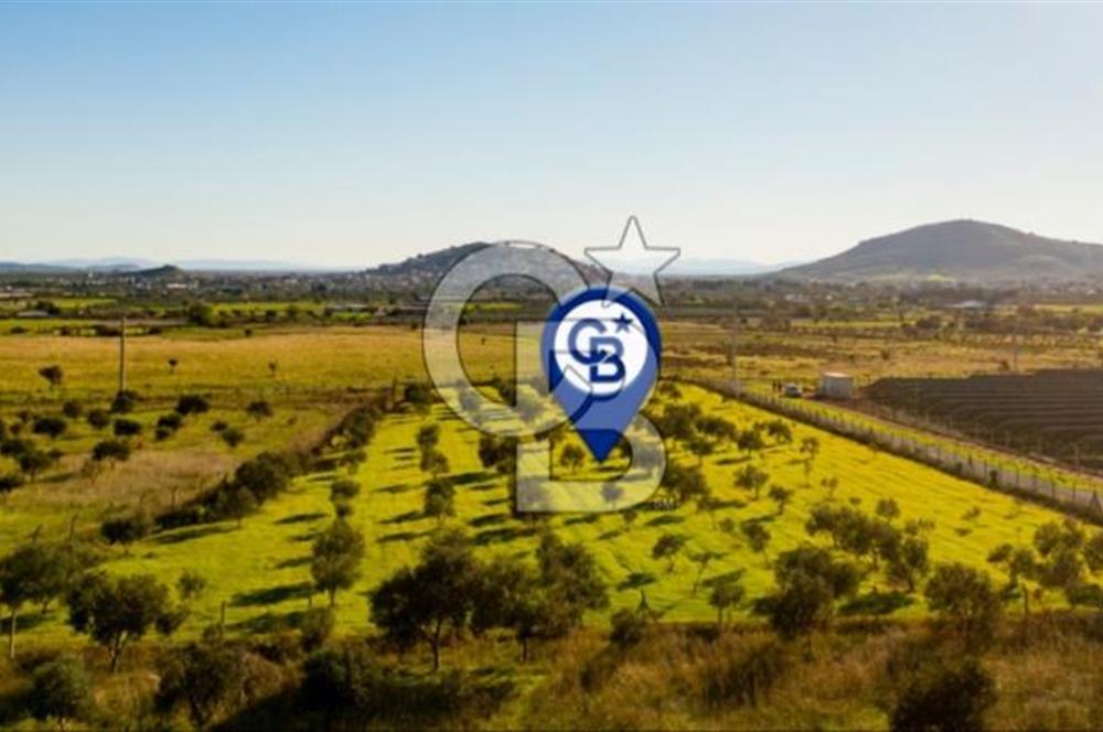 FOÇA KOCAMEHMETLER’DE 6.484 M² TEK TAPU SATILIK TARLA