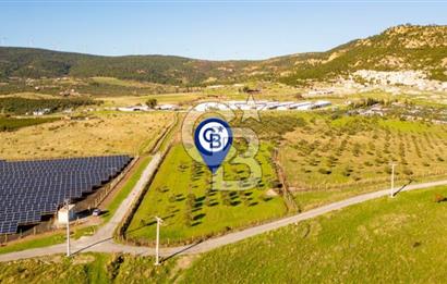 FOÇA KOCAMEHMETLER’DE 6.484 M² TEK TAPU SATILIK TARLA