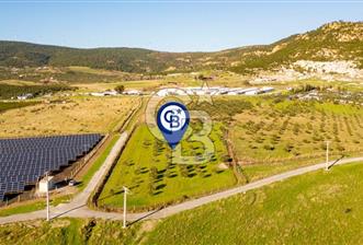 FOÇA KOCAMEHMETLER’DE 6.484 M² TEK TAPU SATILIK TARLA - 1 - 369687
