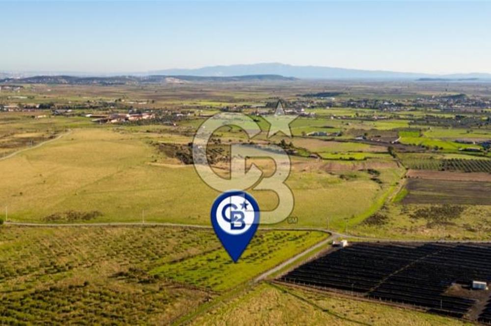 FOÇA KOCAMEHMETLER’DE 6.484 M² TEK TAPU SATILIK TARLA