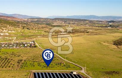 FOÇA KOCAMEHMETLER’DE 6.484 M² TEK TAPU SATILIK TARLA