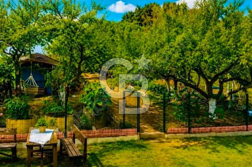 SAPANCA GÖLÜ’NE KARŞI, DOĞANIN İÇİNDE HAZIR SATILIK İŞLETME