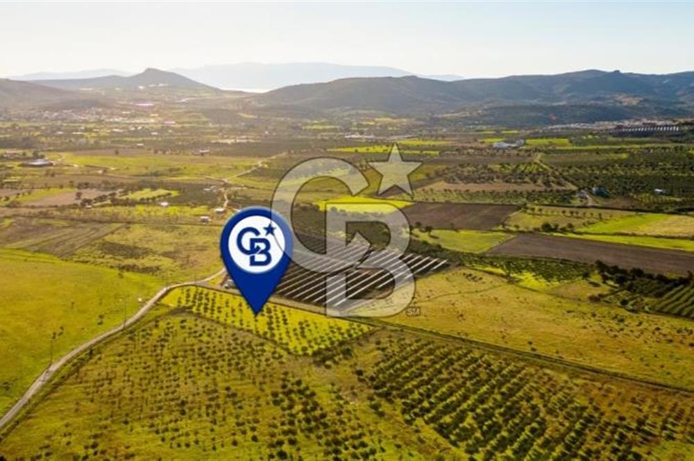 FOÇA KOCAMEHMETLER’DE 6.484 M² TEK TAPU SATILIK TARLA