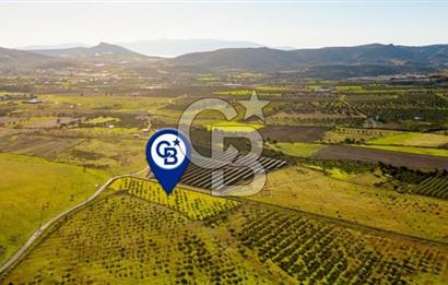 FOÇA KOCAMEHMETLER’DE 6.484 M² TEK TAPU SATILIK TARLA