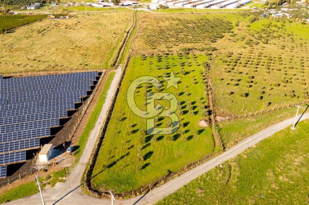 FOÇA KOCAMEHMETLER’DE 6.484 M² TEK TAPU SATILIK TARLA