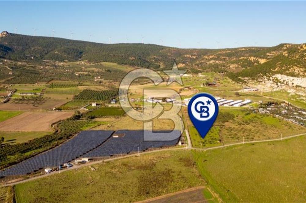 FOÇA KOCAMEHMETLER’DE 6.484 M² TEK TAPU SATILIK TARLA