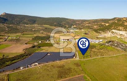 FOÇA KOCAMEHMETLER’DE 6.484 M² TEK TAPU SATILIK TARLA