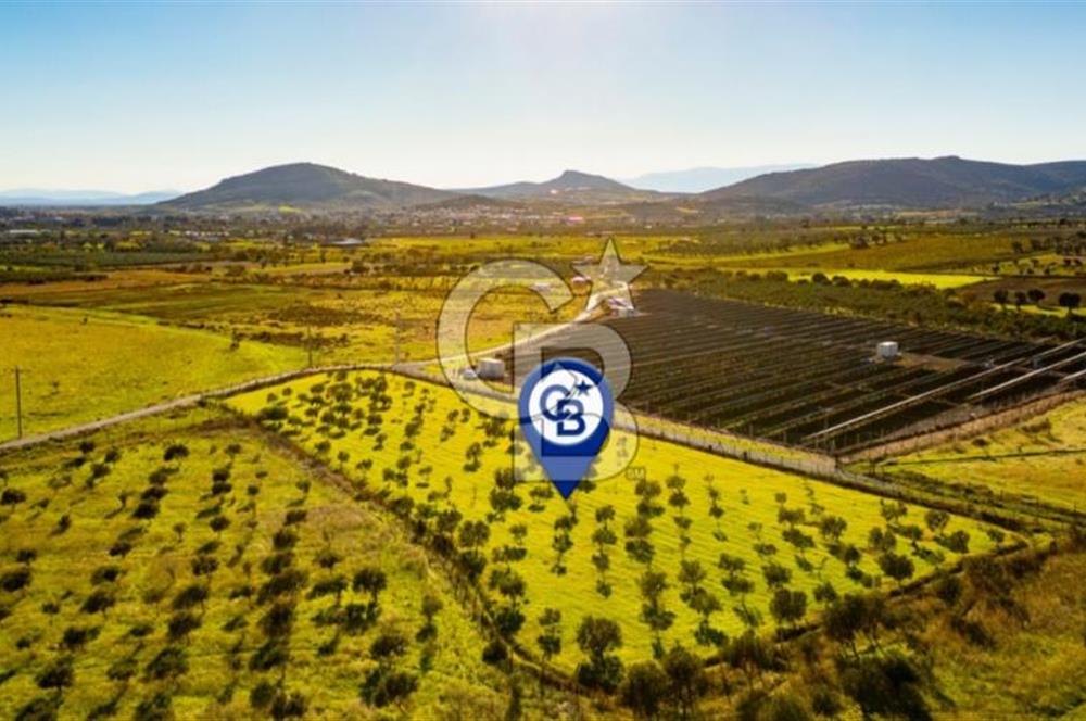 FOÇA KOCAMEHMETLER’DE 6.484 M² TEK TAPU SATILIK TARLA