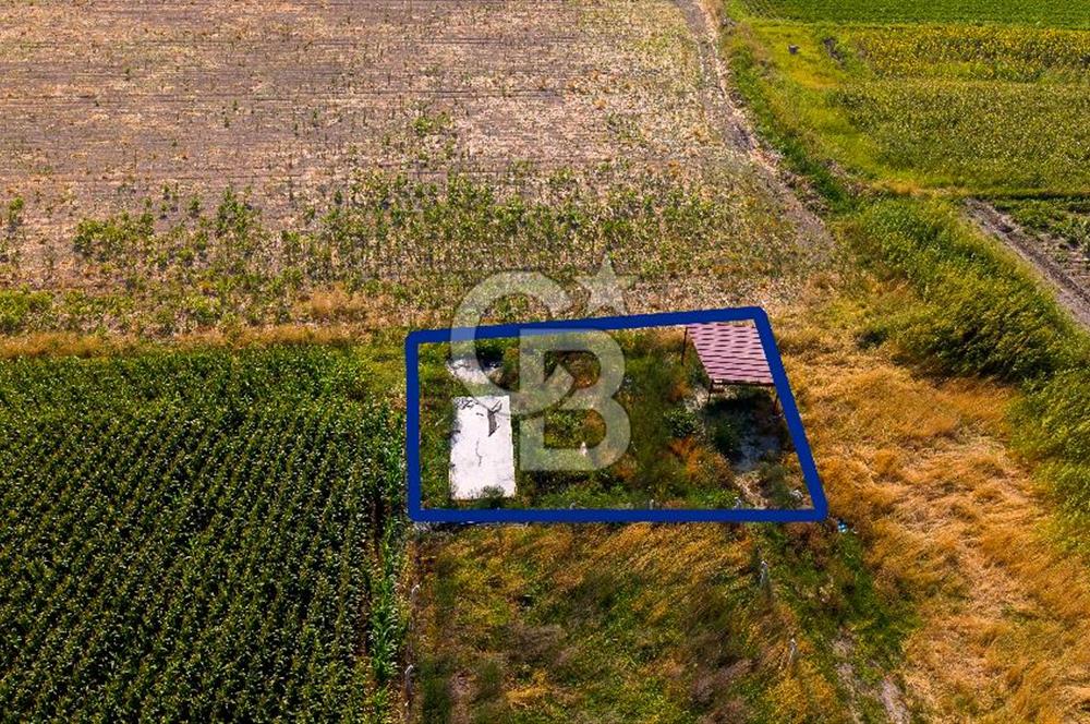 Foça Gerenköy'de Satılık 124 m2 Tarla