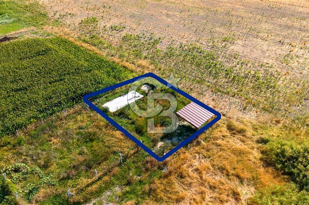 Foça Gerenköy'de Satılık 124 m2 Tarla