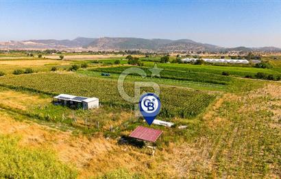 Foça Gerenköy'de Satılık 124 m2 Tarla