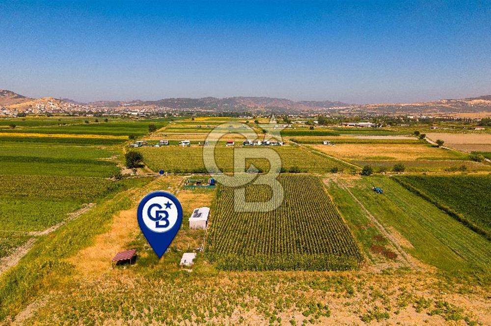 Foça Gerenköy'de Satılık 124 m2 Tarla