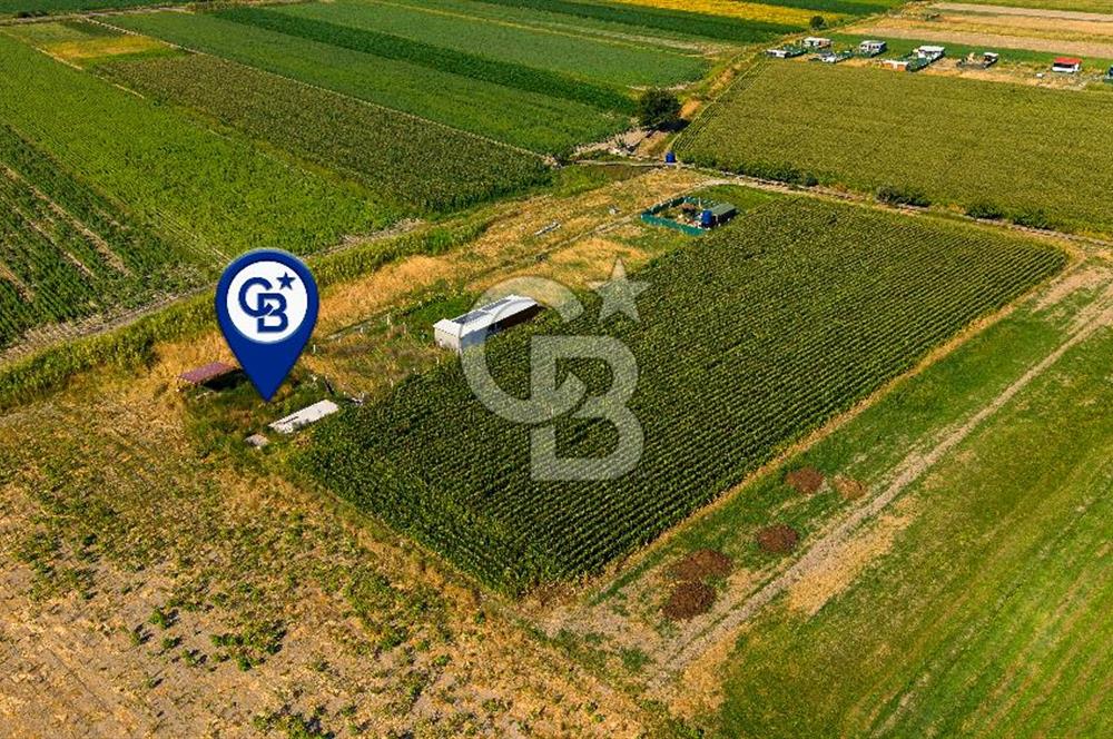 Foça Gerenköy'de Satılık 124 m2 Tarla