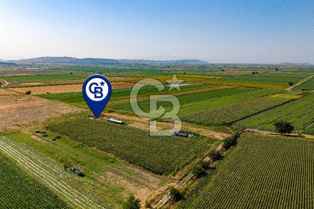 Foça Gerenköy'de Satılık 124 m2 Tarla