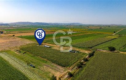 Foça Gerenköy'de Satılık 124 m2 Tarla