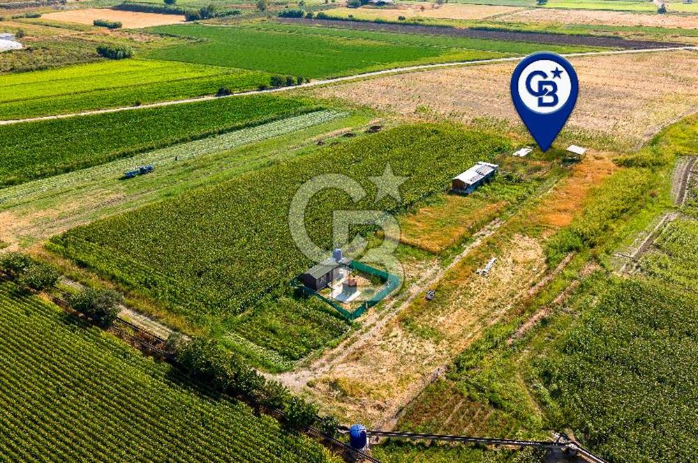 Foça Gerenköy'de Satılık 124 m2 Tarla