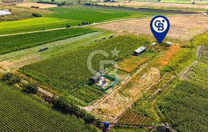 Foça Gerenköy'de Satılık 124 m2 Tarla
