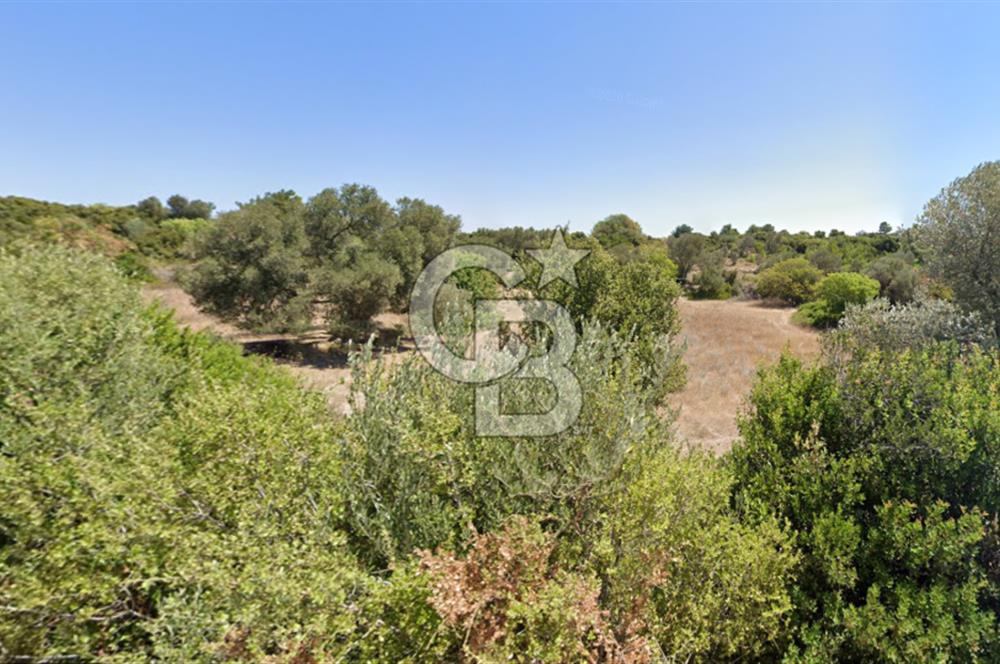 ÇEŞME'DE SATILIK 4600 M2 ARAZİ, DENİZE YÜRÜME MESAFESİNDE