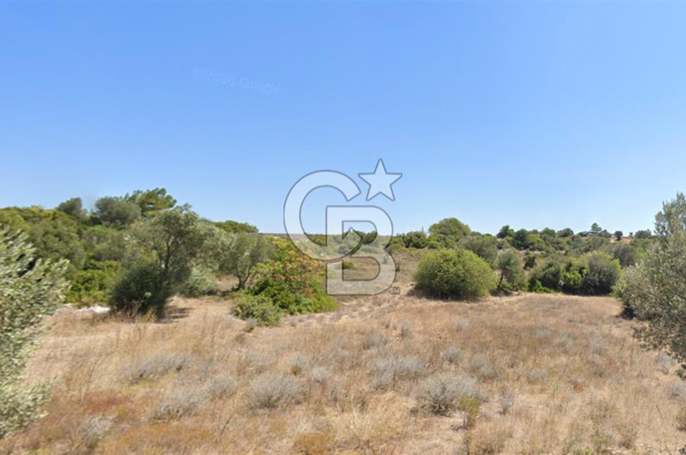 ÇEŞME'DE SATILIK 4600 M2 ARAZİ, DENİZE YÜRÜME MESAFESİNDE