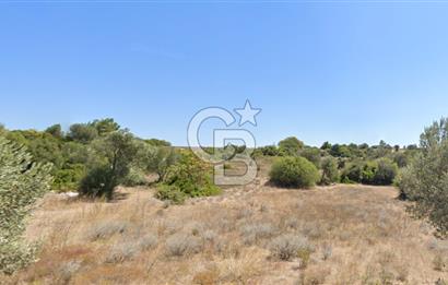 ÇEŞME'DE SATILIK 4600 M2 ARAZİ, DENİZE YÜRÜME MESAFESİNDE
