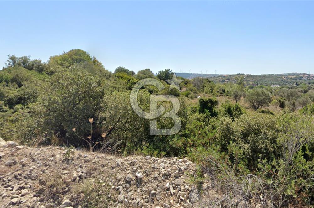 ÇEŞME'DE SATILIK 4600 M2 ARAZİ, DENİZE YÜRÜME MESAFESİNDE