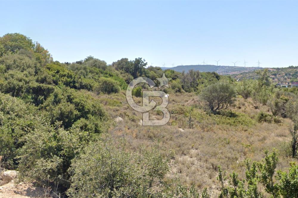 ÇEŞME'DE SATILIK 4600 M2 ARAZİ, DENİZE YÜRÜME MESAFESİNDE
