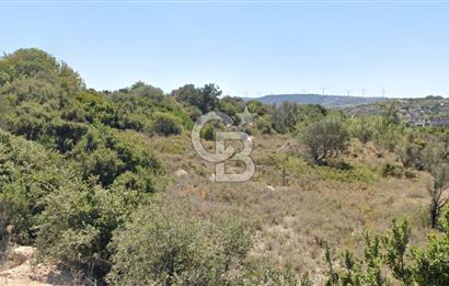 ÇEŞME'DE SATILIK 4600 M2 ARAZİ, DENİZE YÜRÜME MESAFESİNDE