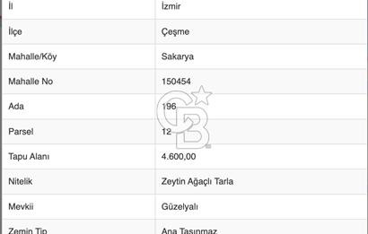 ÇEŞME'DE SATILIK 4600 M2 ARAZİ, DENİZE YÜRÜME MESAFESİNDE