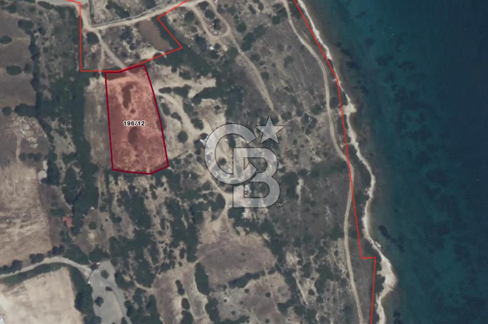 ÇEŞME'DE SATILIK 4600 M2 ARAZİ, DENİZE YÜRÜME MESAFESİNDE