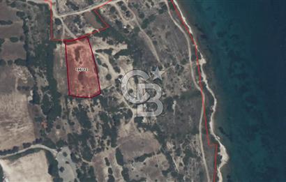 ÇEŞME'DE SATILIK 4600 M2 ARAZİ, DENİZE YÜRÜME MESAFESİNDE