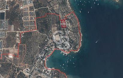 ÇEŞME'DE SATILIK 4600 M2 ARAZİ, DENİZE YÜRÜME MESAFESİNDE