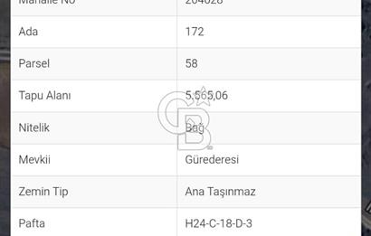BİLECİK İNHİSARDA SATILIK TARLA
