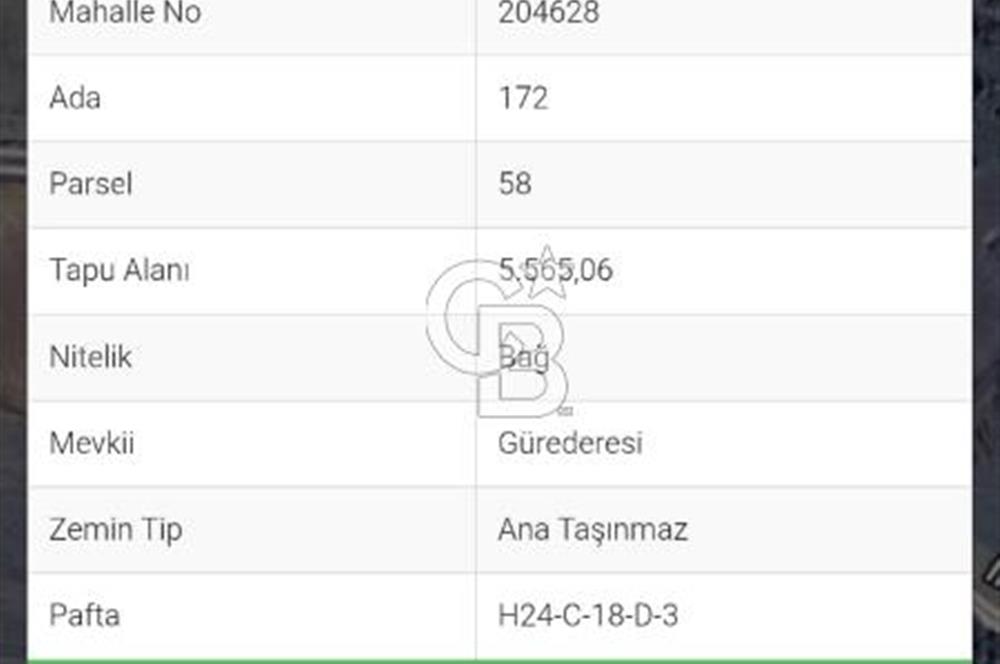 BİLECİK İNHİSARDA SATILIK TARLA